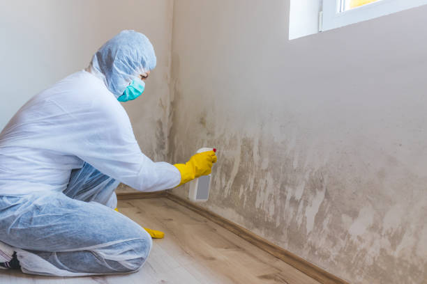 Licensed Commercial Mold Remediation service in Fountainville, PA - WQB Mold Removal