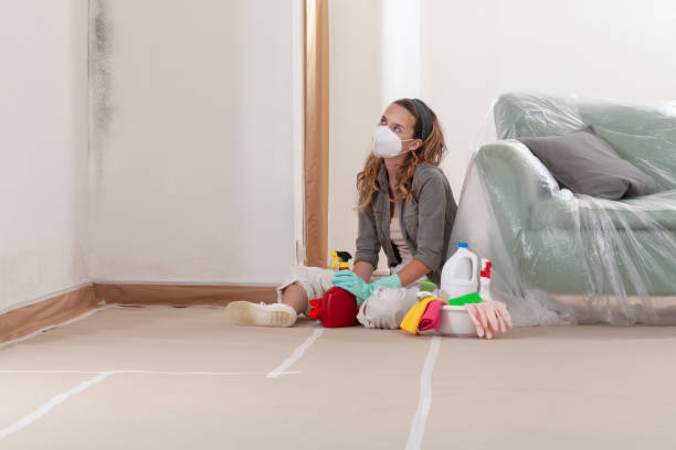 Reliable Commercial Mold Remediation contractor in Fountainville, PA by WQB Mold Removal